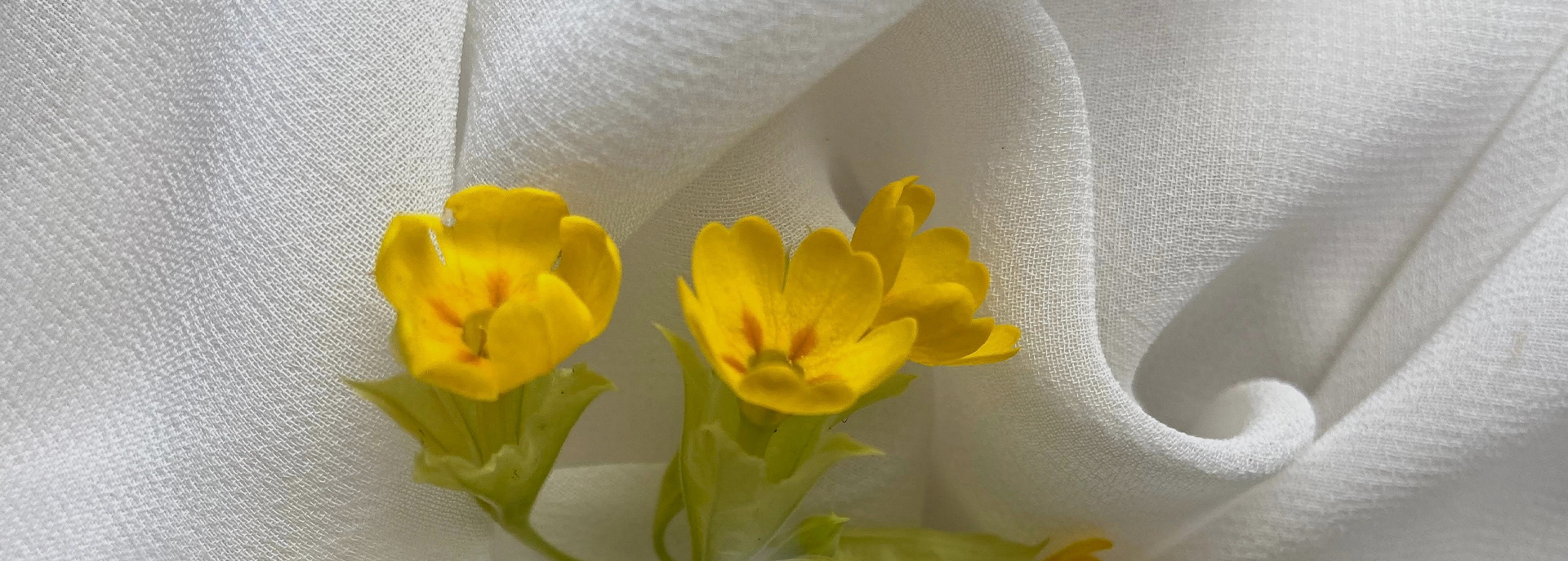 Knit Fabric